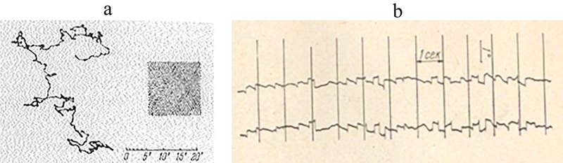 Fixation of a stationary point for 30 s: (a) a monocular record of gaze movement around the fixation point; (b) horizontal components of the left and right eye movements during fixation recorded on a moving phototape.